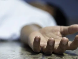 Pria 61 Tahun di Sabu Raijua Ditemukan Tewas di Bawah Pohon Kelapa, Diduga Jatuh saat Memanjat