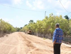 Wabup Sabu Raijua Pantau Proyek Jalan SP Menia–Kolouju Senilai Rp7,44 Miliar, Minta Kualitas jadi Prioritas