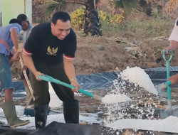 Bupati Sabu Raijua Panen Garam Perdana, Produksi Tambak Eiada Capai Belasan Ton